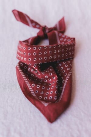 The Rylee Flower Field Bandana Scarf in rust features a classic bandana print with small white florals and a white border, shown tied and folded on a light pink fabric background.